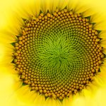 68768开奖结果揭晓,幸运号码震撼公布 d0ut7weon6