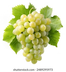 698开奖前后出现的神秘规律与惊人现象