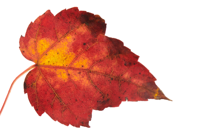 69开奖结果最新公布，中奖号码全面揭晓