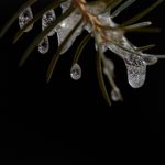 68kj最快历史开奖记录查询与结果分析 r4xn76t2xm